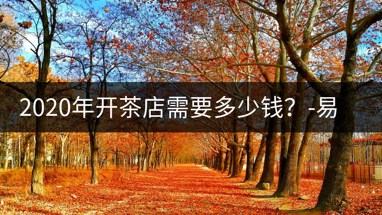 2020年開茶店需要多少錢？-易武中聘號(hào)