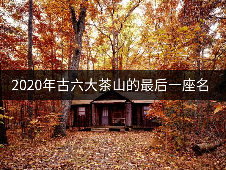 2020年古六大茶山的最后一座名山——攸樂(lè)山。-易武中聘號(hào)
