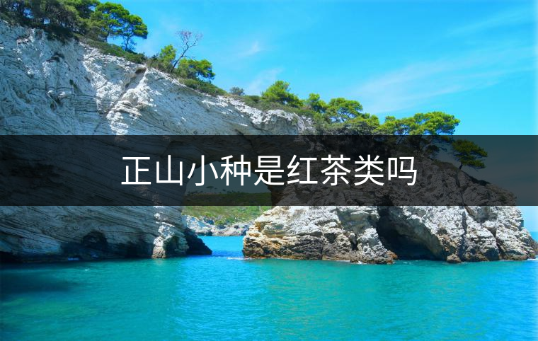 正山小種是紅茶類嗎 正山小種是紅茶類嗎