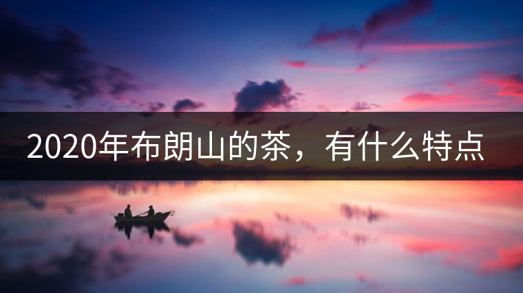 2020年布朗山的茶，有什么特點(diǎn)？-易武中聘號