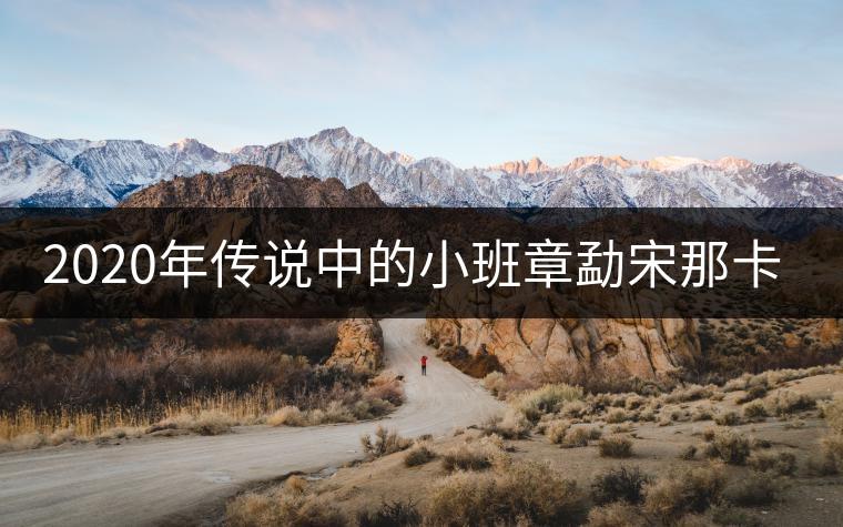 2020年傳說中的小班章勐宋那卡古樹茶-易武中聘號 2020年傳說中的小班章勐宋那卡古樹茶-易武中聘號