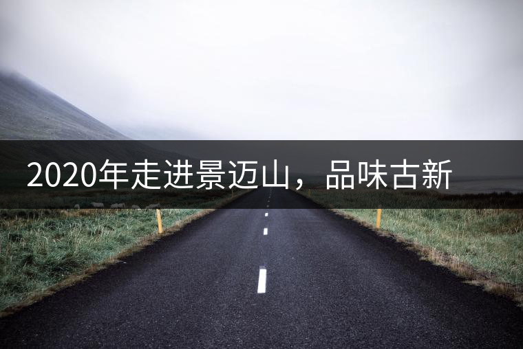 2020年走進景邁山,品味古新六大茶山古樹茶之韻-易武中聘號 2020年走進景邁山,品味古新六大茶山古樹茶之韻-易武中聘號