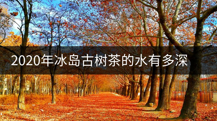 2020年冰島古樹茶的水有多深？別被蒙在鼓里啦-易武中聘號(hào)