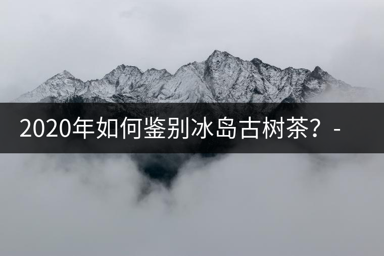 2020年如何鑒別冰島古樹茶？-易武中聘號