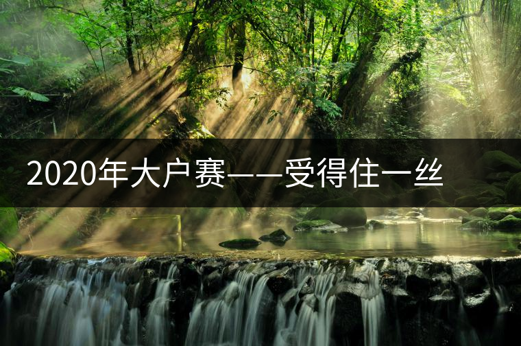 2020年大戶賽——受得住一絲苦，才能盡享一口甜-易武中聘號