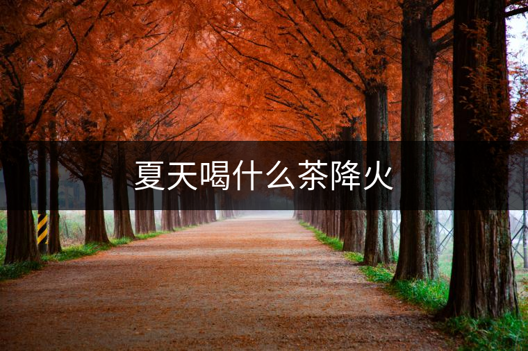 夏天喝什么茶降火