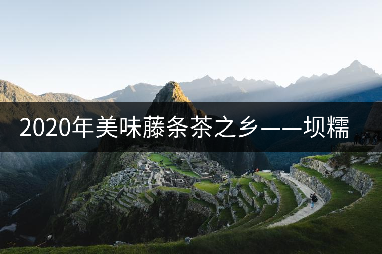 2020年美味藤條茶之鄉(xiāng)——壩糯-易武中聘號(hào)
