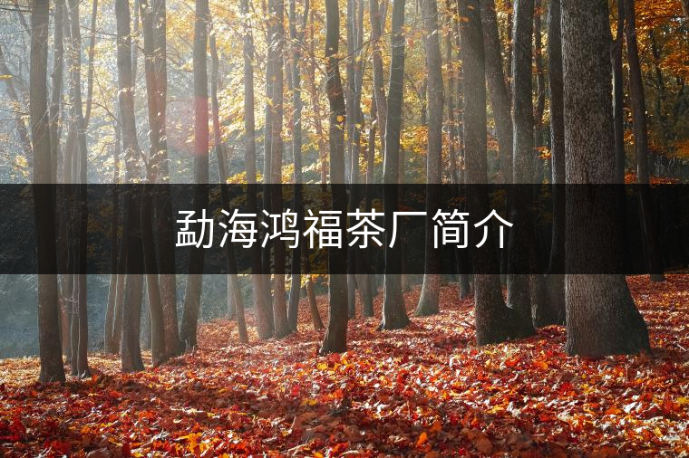 勐海鴻福茶廠簡(jiǎn)介