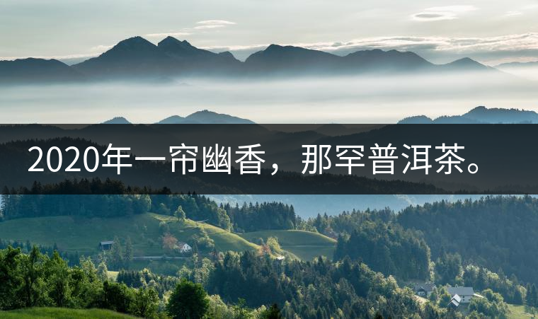 2020年一簾幽香，那罕普洱茶。-易武中聘號