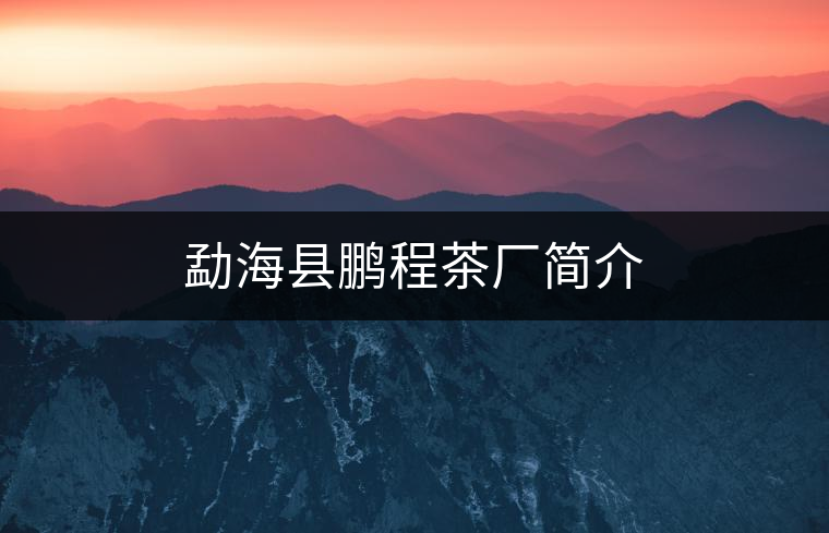 勐?？h鵬程茶廠簡介