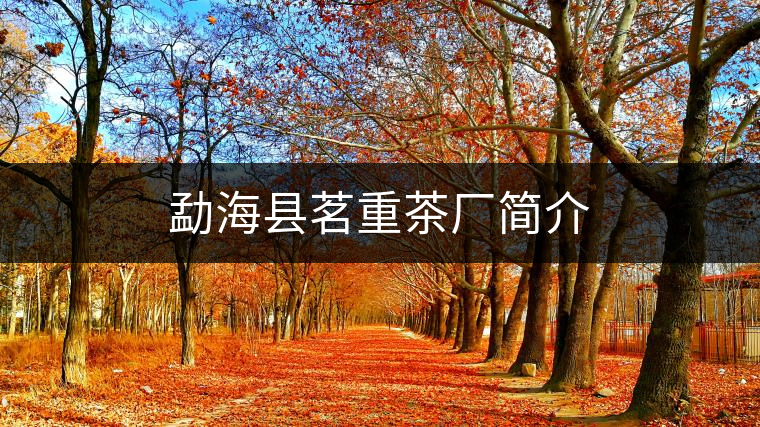 勐?？h茗重茶廠簡介