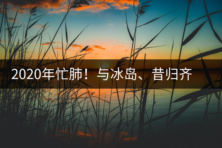 2020年忙肺！與冰島、昔歸齊名的普洱茶，到底是什么味道？-易武中聘號
