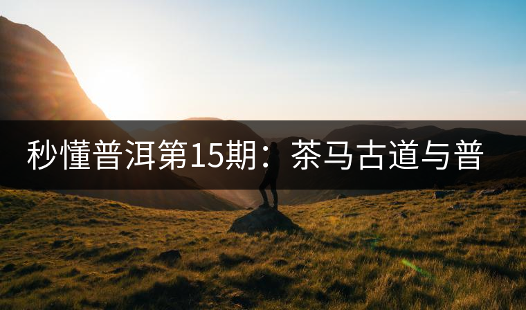 秒懂普洱第15期：茶馬古道與普洱茶有什么聯(lián)系？