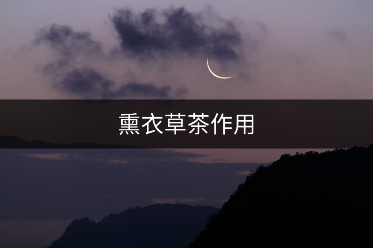 熏衣草茶作用 熏衣草茶作用