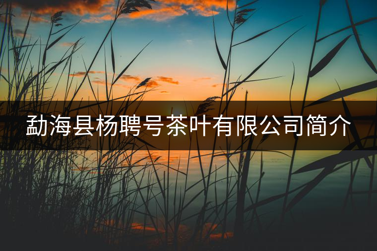 勐?？h楊聘號茶葉有限公司簡介