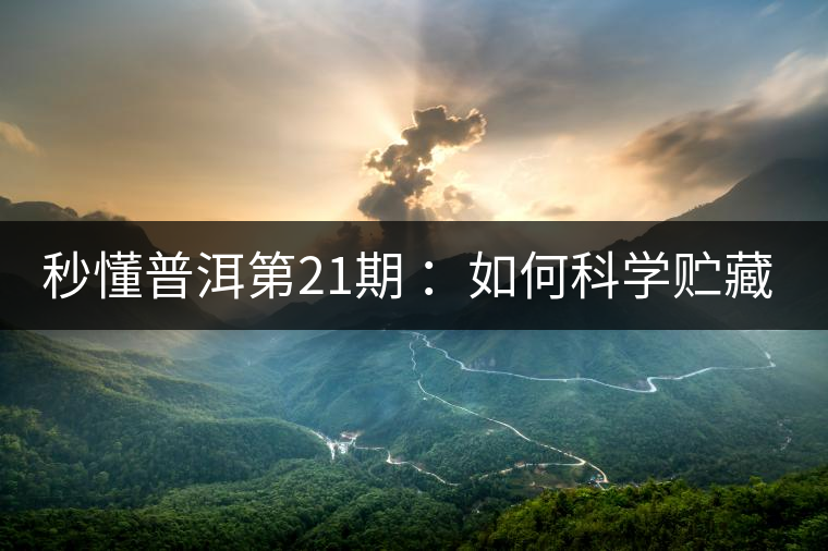 秒懂普洱第21期 ：如何科學(xué)貯藏普洱茶？