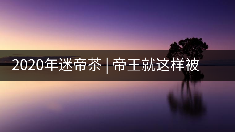 2020年迷帝茶 | 帝王就這樣被迷住了？-易武中聘號(hào)