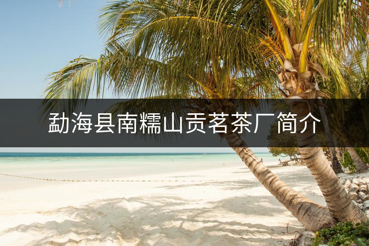 勐?？h南糯山貢茗茶廠簡介
