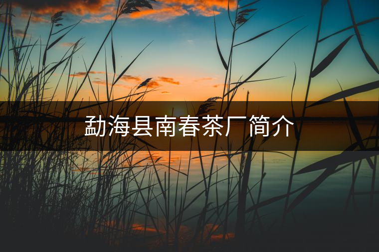 勐?？h南春茶廠簡(jiǎn)介