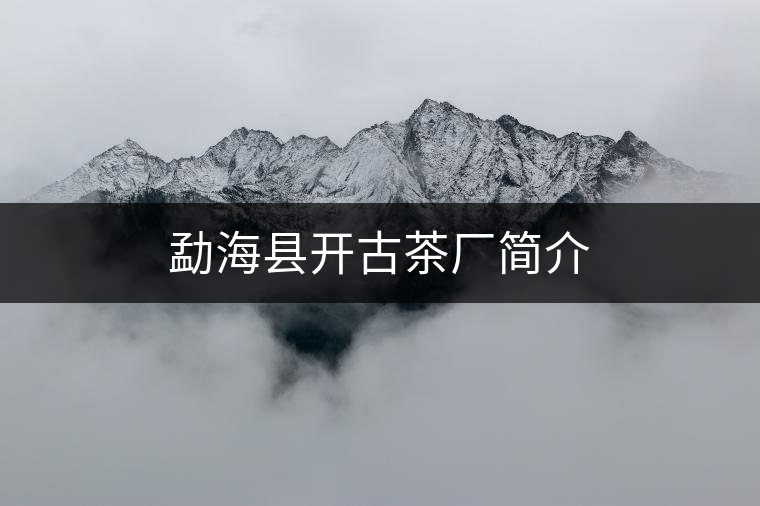 勐?？h開(kāi)古茶廠簡(jiǎn)介