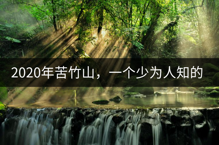 2020年苦竹山，一個少為人知的后起之秀！-易武中聘號