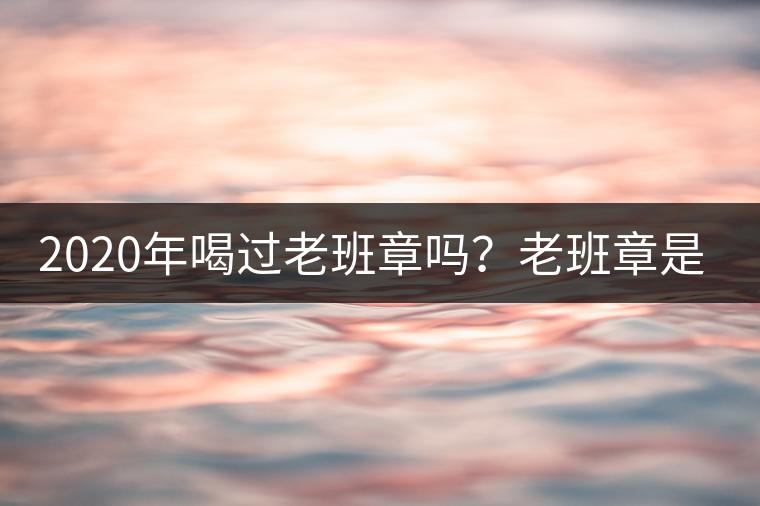 2020年喝過老班章嗎？老班章是什么味道？-易武中聘號