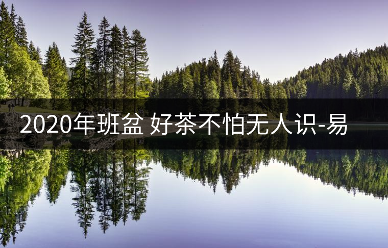 2020年班盆 好茶不怕無(wú)人識(shí)-易武中聘號(hào) 2020年班盆 好茶不怕無(wú)人識(shí)-易武中聘號(hào)