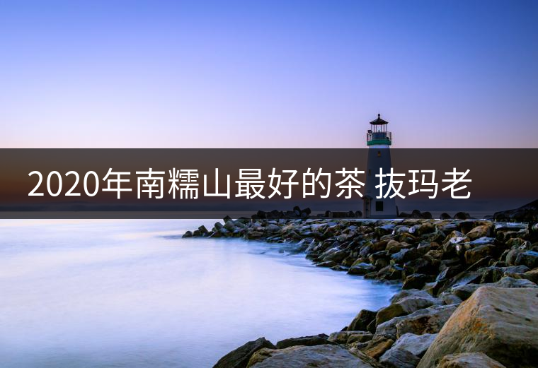 2020年南糯山最好的茶 抜瑪老寨-易武中聘號(hào) 2020年南糯山最好的茶 抜瑪老寨-易武中聘號(hào)