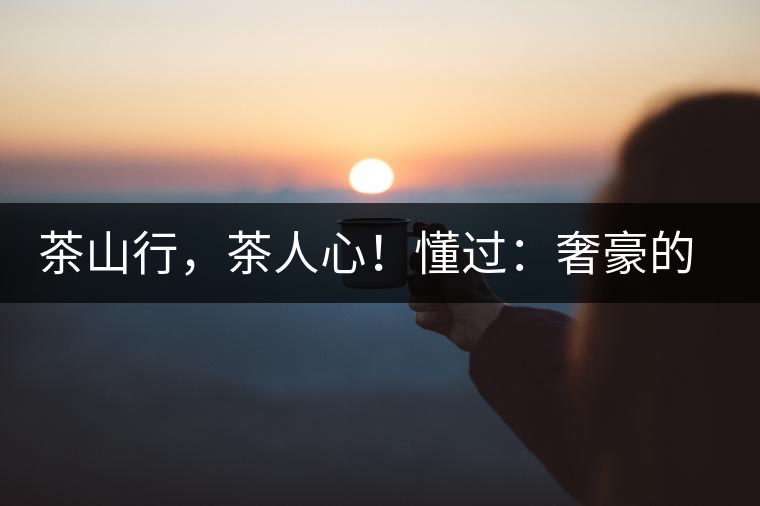 茶山行，茶人心！懂過：奢豪的性價比之王