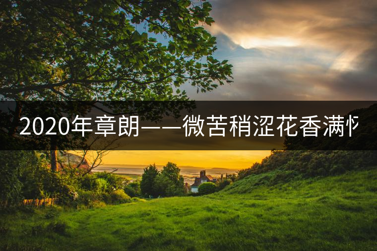 2020年章朗——微苦稍澀花香滿懷 -易武中聘號 2020年章朗——微苦稍澀花香滿懷 -易武中聘號