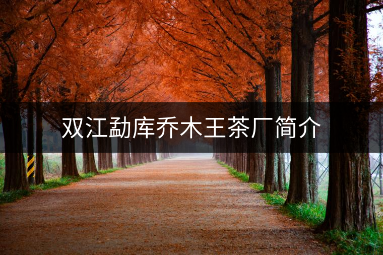 雙江勐庫喬木王茶廠簡介 雙江勐庫喬木王茶廠簡介
