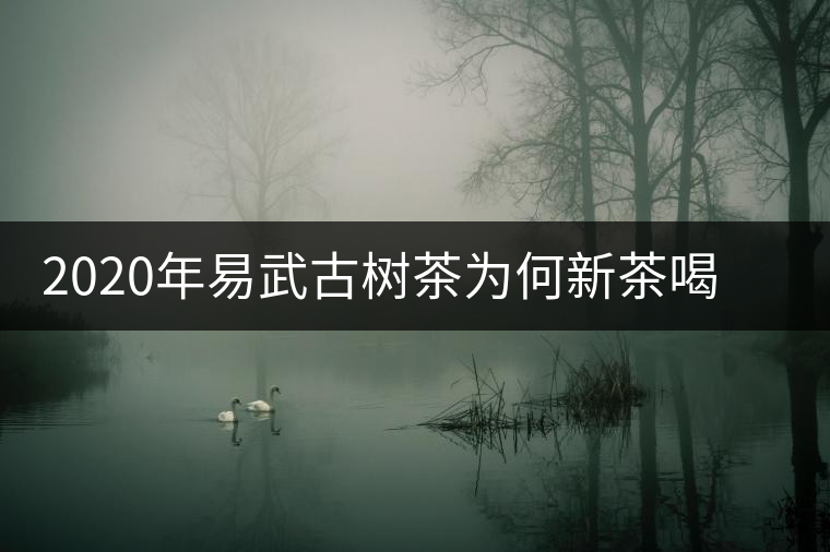 2020年易武古樹(shù)茶為何新茶喝時(shí)淡卻越放越濃？-易武中聘號(hào)