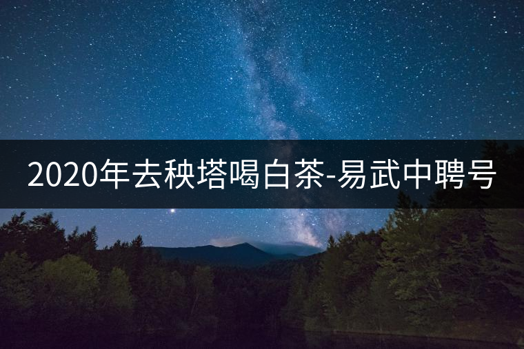 2020年去秧塔喝白茶-易武中聘號