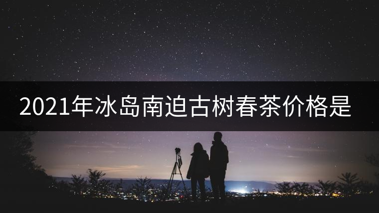 2021年冰島南迫古樹春茶價格是多少？