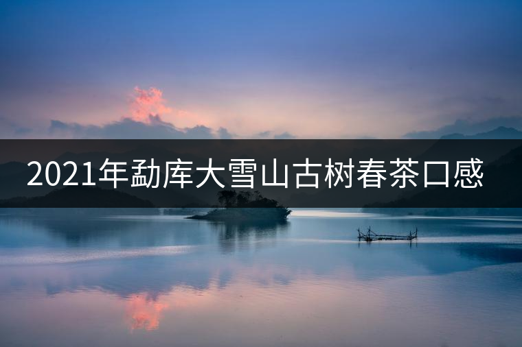 2021年勐庫(kù)大雪山古樹春茶口感特點(diǎn)？