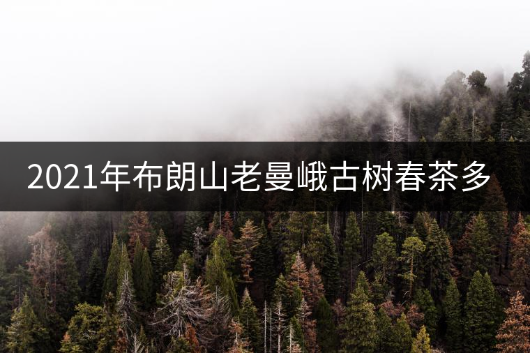 2021年布朗山老曼峨古樹春茶多少錢一公斤？
