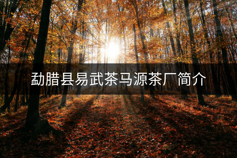 勐臘縣易武茶馬源茶廠簡(jiǎn)介 勐臘縣易武茶馬源茶廠簡(jiǎn)介