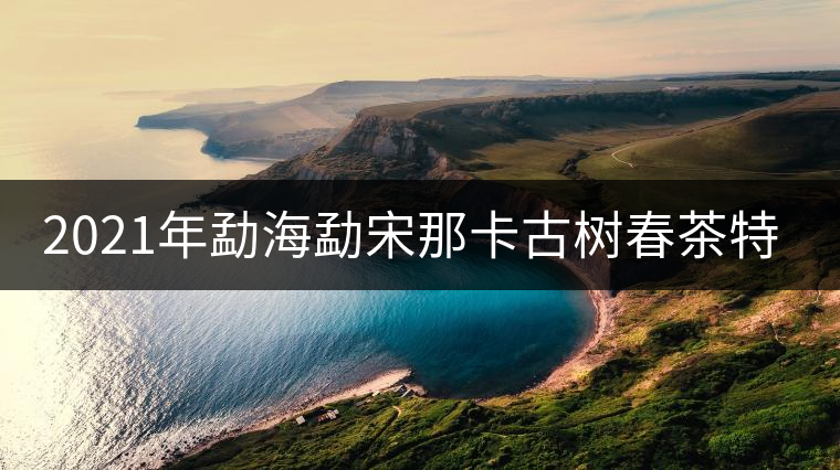 2021年勐海勐宋那卡古樹春茶特點(diǎn)？
