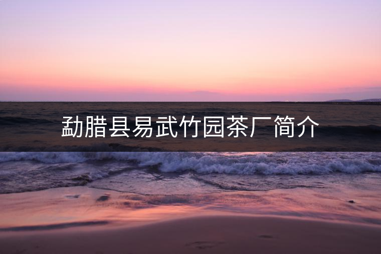 勐臘縣易武竹園茶廠簡介 勐臘縣易武竹園茶廠簡介