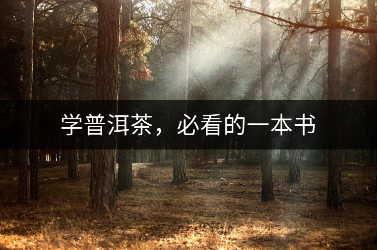 學普洱茶，必看的一本書