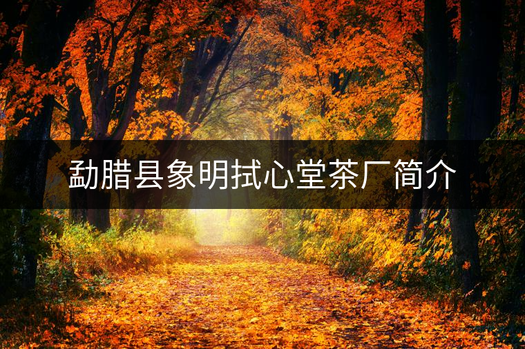 勐臘縣象明拭心堂茶廠簡(jiǎn)介