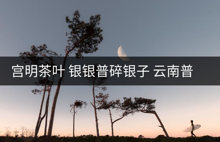 宮明茶葉 銀銀普碎銀子 云南普洱茶熟茶易武古樹糯米香老茶頭好喝嗎？