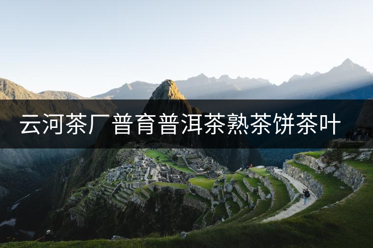 云河茶廠普育普洱茶熟茶餅茶葉宮廷貢茶作為口糧茶怎么樣？