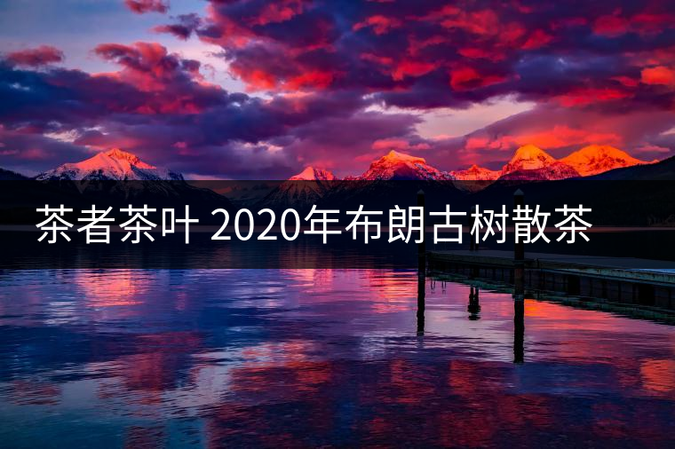 茶者茶葉 2020年布朗古樹散茶  性價比怎么樣？