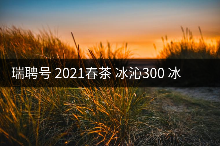 瑞聘號(hào) 2021春茶 冰沁300 冰島頭春古樹茶好喝嗎？