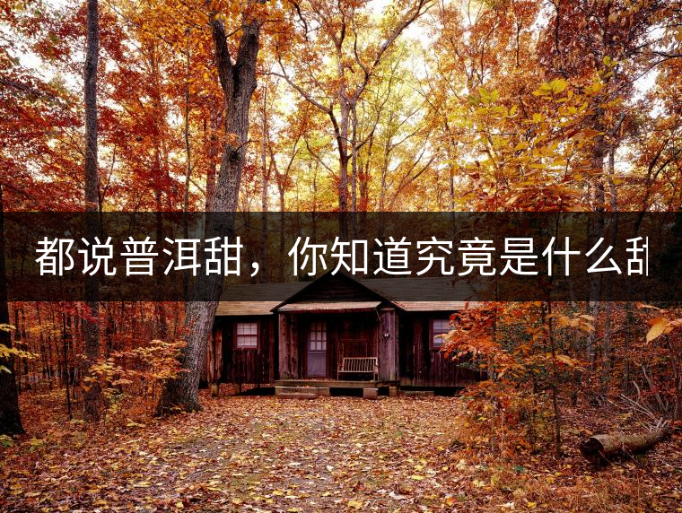 都說普洱甜，你知道究竟是什么甜嗎？