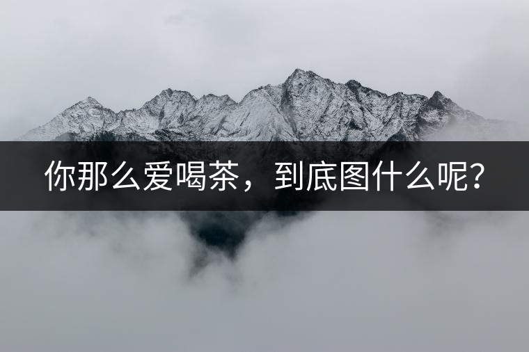 你那么愛喝茶，到底圖什么呢？