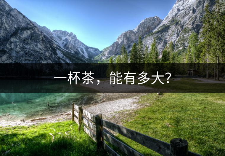 一杯茶，能有多大？