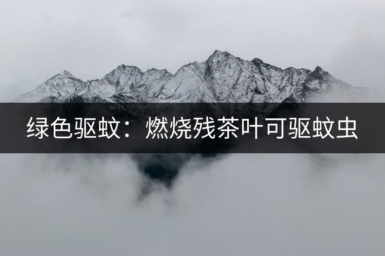 綠色驅蚊:燃燒殘茶葉可驅蚊蟲 綠色驅蚊:燃燒殘茶葉可驅蚊蟲