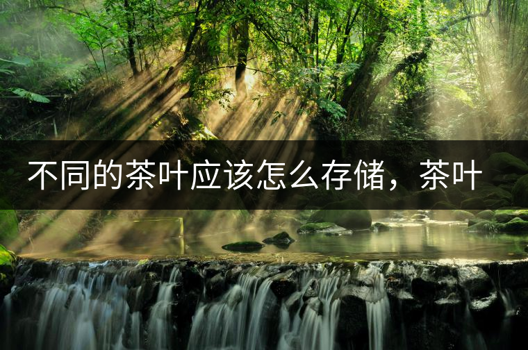 不同的茶葉應(yīng)該怎么存儲，茶葉罐又該如何選擇？